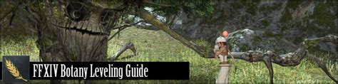 ffxiv botanist guide